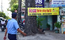 Phạt quảng cáo sai chỗ rất khó, tại sao?
