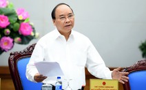 Nhờ trồng rừng, Thái Bình có nơi nuôi nghêu lớn nhất VN