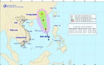 Áp thấp nhiệt đới mạnh lên thành bão số 1