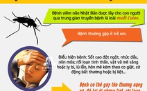 ​Cảnh báo bệnh viêm não Nhật Bản khi vào hè