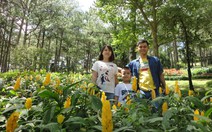 Gia đình là nơi bình yên