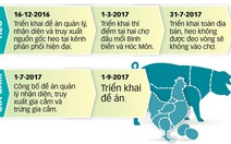 Sẽ “cấm cửa” heo không truy xuất được nguồn gốc