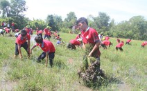 Mùa hè trải nghiệm ruộng đồng