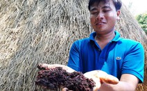 Lập nghiệp từ 10kg giun