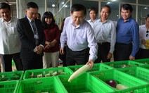 ​Tái cơ cấu nông nghiệp phải gắn với hợp tác xã
