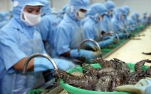 ​Hoa Kỳ tăng thuế chống bán phá giá đối với tôm Việt Nam