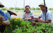 Khởi nghiệp: Rời văn phòng đi trồng rau xanh