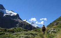 Làm du lịch kiểu New Zealand