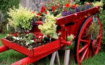 ​Cảm Đà Lạt bằng cả năm giác quan