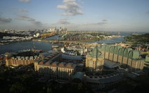 ​Chống tham nhũng kiểu APEC