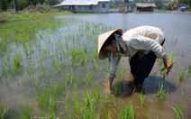 Ai đã làm gì cho sông Mekong?