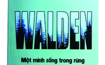 Về một cọng rơm bên đầm Walden 