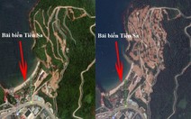 Có thực vì môi trường?