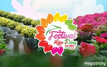 Festival Hoa kiểng Sa Đéc lần thứ 2: Sắc hoa ngày mới