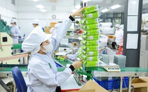 Sức mua tăng, sản phẩm OCOP Đà Nẵng đẩy mạnh sản xuất phục vụ thị trường Tết