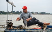 Thả lưới mưu sinh trên sông Hồng giữa giá lạnh 14°C