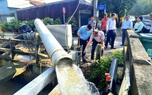 Bình Lợi nâng cấp hạ tầng thủy lợi, bảo vệ hơn 600ha mai vàng