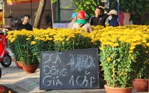 Sức mua yếu, chợ hoa Tết Quảng Ngãi ế ẩm, tiểu thương đồng loạt xả hàng chiều 29 tháng chạp