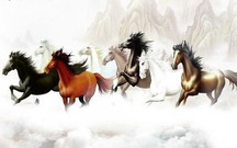 Vì sao 'Mã đáo thành công' thường đi cùng hình ảnh 8 chú ngựa?