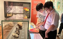 Học sinh Hàn Quốc thích thú tìm hiểu, trải nghiệm văn hóa Đà Nẵng