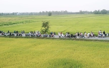 Cánh đồng lúa ở Xuân Thới Sơn hút khách ngắm hoàng hôn