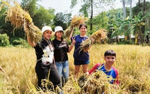 Học sinh học làm nông, bắt cá tại 'lớp học' giữa rừng Yang Bay