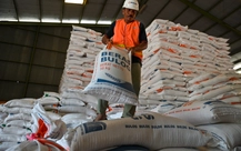 Khủng hoảng lúa gạo Thái Lan: Năng suất giảm, chi phí tăng, giá xuất khẩu thấp nhất 15 năm