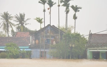 Vào tâm lũ Hòa Xuân, Phú Yên cũ: Những tiếng vọng từ khe cửa sổ, nóc nhà xin tiếp tế đồ ăn