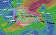 Ứng phó bão số 15, các thủy điện hạ mực nước hồ đón lũ