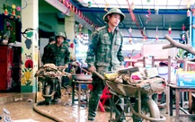 'Chiến dịch Quang Trung' sẽ xây mới hơn 1.500 căn nhà cho dân vùng lũ