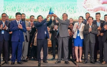 Gạo ST25 tiếp tục đạt giải nhất cuộc thi Gạo ngon nhất thế giới năm 2025