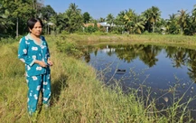 Mua bảo hiểm tai nạn điện được 2 tháng thì bị điện giật chết, 2 năm sau vẫn chưa nhận được tiền