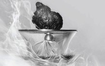 Tạm hoãn chiêm bái xá lợi trái tim Bồ tát Thích Quảng Đức vào ngày 3-5
