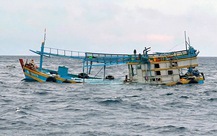 Tàu hàng quốc tịch Liberia đâm chìm tàu cá Việt Nam rồi bỏ đi, 10 ngư dân được cứu sống