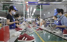 Vang bóng một thời, Giày Thượng Đình nay bị nghi ngờ khả năng hoạt động liên tục