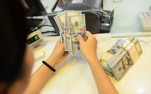 Tin tức sáng 25-6: Quốc hội thông qua nhiều luật, họp công tác nhân sự; Tỉ giá USD lại 'nổi sóng'