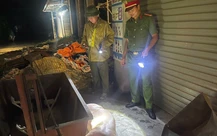 Người chăn nuôi giấu dịch đang khiến dịch tả heo châu Phi lan rộng