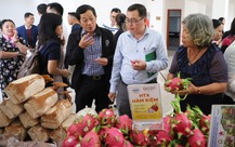 332 mẫu nông sản Lâm Đồng về chợ Bình Điền, chỉ 1 mẫu tồn dư thuốc bảo vệ thực vật