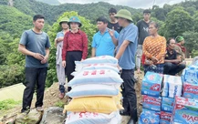 Sẻ chia hàng cứu trợ cho người Lào: 'Nghĩa tình không biên giới'