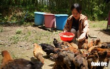 Ngày nắng hay mưa cũng đi tìm mẹ bệnh tâm thần, nữ sinh đậu đại học cả xóm Trà Bồng che chở
