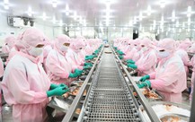 Miền Tây thiếu người, có nên nhập khẩu lao động?