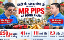 Khối tài sản 'gây choáng' trong vụ Mr Pips: 250kg vàng trị giá 611 tỉ, dàn siêu xe và 111 nhà đất