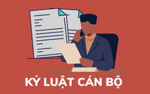 Ban Bí thư khai trừ Đảng ông Sử Ngọc Anh