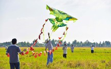 Vụ người đu theo dây diều lơ lửng trên cao ở Chợ Mới: Chuyên gia nói diều lớn có thể nâng vật thể 200kg