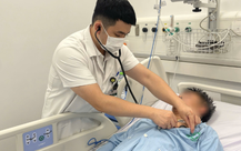 Tai nạn nghiêm trọng ở trang trại nuôi heo: Nhiều nạn nhân gục nhanh vì 'hội chứng búa tạ ở lò mổ'