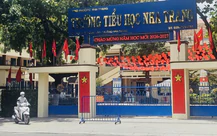 Nhập 13 trường tiểu học ở Nha Trang thành 'siêu trường' hơn 10.500 học sinh, 287 lớp: Quản lý thế nào?
