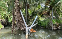 Hai anh em đi tưới dừa chết cạnh hàng rào lưới B40: Công an xác định do điện giật