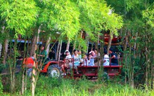 Thời tiết hôm nay 11-11: Đất liền nắng ráo, Biển Đông bão dữ