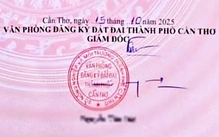 Chữ ký của giám đốc toàn nét gạch ngang dọc có ảnh hưởng đến tính pháp lý của giấy chủ quyền?