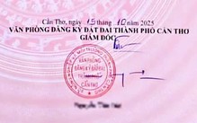 Chữ ký phải đẹp, phải khác nét gạch, không thể toàn nét ngang nét dọc?